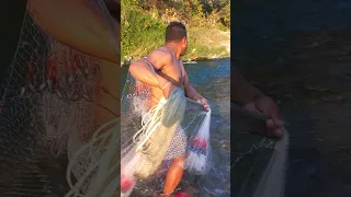 Net fishing at aadhikhola river#freshwater#short#shorts