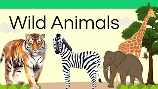 Learn about Wild Animal Names with Animal Videos for Kids