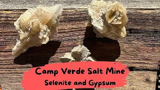 Camp Verde Salt Mine Selenite and Gypsum Crystals