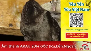 Âm thanh nhà yến AKAU 2014 gốc (Ru, Dẫn, Ngoài)