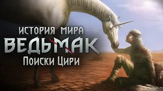 История мира The Witcher: Часть 22. Дружина Геральта. Цири в Пустыне. ЛжеЦири