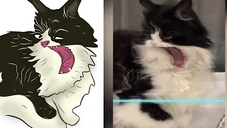 Time warp scan animals Drawing meme - tik tok complication meme - drawing meme