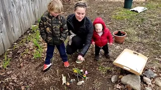 How to Build a Fairy House, featuring Boston Moms