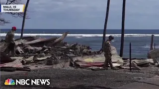 Maui residents frustrated by tourists snorkeling 'as bodies were still being pulled out' of water