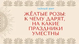 Жёлтые розы: к чему дарят, на какие праздники уместны