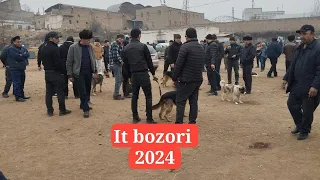 Namangan It bozori 2024.10.03