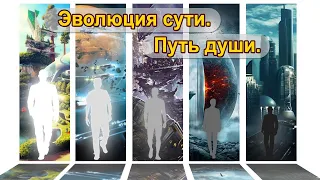 Эволюция сути. Путь духа. Зачем мы здесь? Мария Шлоен