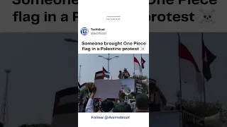 One Piece Flag Spotted in Palestine Protest | Anime Clips