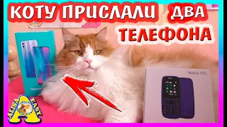 КОТУ ПРИСЛАЛИ ДВА ТЕЛЕФОНА / РАСПАКОВКА ОГРОМНОЙ ПОСЫЛКИ / Alisa Easy Pets