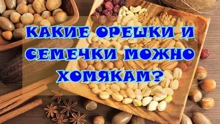 КАКИЕ ОРЕШКИ И СЕМЕЧКИ МОЖНО ДАВАТЬ ХОМЯКАМ? | ПИТАНИЕ ХОМЯКОВ 🐹