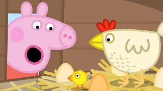 Peppa Pig 🐤Anneanne Domuz Tavuklar🌾Online komik çizgi filmler Derleme🌳Çocuklar için Çizgi Filmler