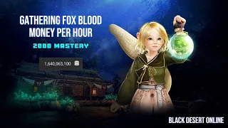 [BDO] Gathering Fox Blood - 2000 Mastery - Money Per Hour - 2024