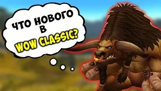 Свежие новости WoW Classic! Ванилла для новичков? Других дополнений не будет?