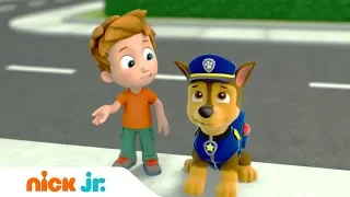 Щенячий патруль | Страх перед дантистом | Nick Jr. Россия