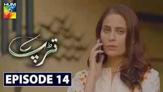 Tarap Episode 14 HUM TV Drama 31 May 2020