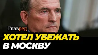 СБУ сообщила детали задержания Медведчука: хотел убежать через Приднестровье в Москву