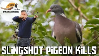 Slingshot pigeon hunting  kills and target shots