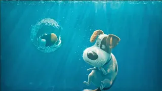 the secret life of pets:off the leash underwater scenes!