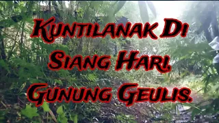 Horror Experience While On The mountain Geulis #gunung #alam #camping