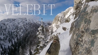 Outdoors Croatia S1E4 - Snowshoe running ✓ VELEBIT,  Zavižan - Rossijevo sklonište