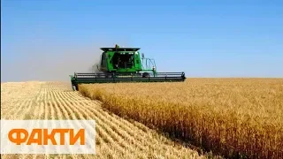 Агробизнес в Украине: удастся ли в этом году установить новый рекорд экспорта