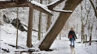 DAN BELL FRIDAY Ep. 2 : WINTER STORM IN BALTIMORE : REMAINS FOUND IN LEAKIN PARK