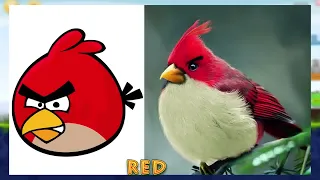 Angry Birds Characters In Real Life - Angry Birds