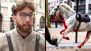 Blood-soaked cavalry horse gallops through London