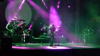 Pinktones. Pigs, live in Benalmádena, Málaga, 06.08.2016 HD 1080