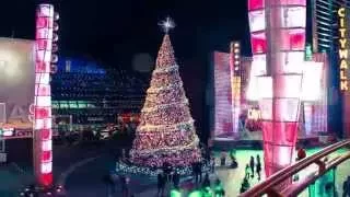 Christmas Lights in Los Angeles - Timelapse HD