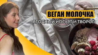 ВЕГАН МОЛОЧКА | ягодный йогурт и творог