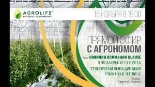 Новинки компании Clause | для закрытого грунта | Технологии выращивания томатов в теплице