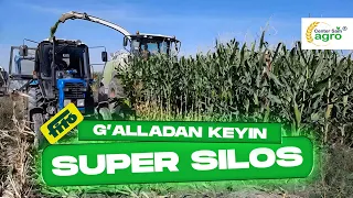 Super silos, g'alladan keyingi hosil #corn #harvest #кукуруза