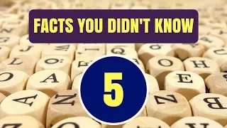 5 Battle Rap Facts You Didn't Know - Part 5