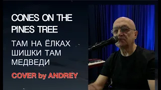 CONES ON THE PINES TREE (COVER 2) ТАМ НА ЁЛКАХ ШИШКИ ТАМ МЕДВЕДИ (КАВЕР 2) #russiansongs #cover