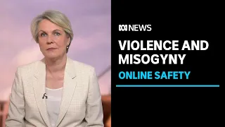 Tanya Plibersek voices concern over abusive online content | ABC News