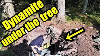 Launching a HUGE Tree in the Air with Dynamite!