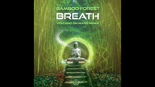 Bamboo Forest - Breath (Volcano on Mars Remix)