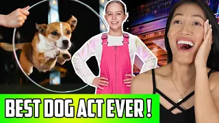 Amazing Dog Act On AGT Reaction | Alexa Lauenburger On America's Got Talent Champions 2020!