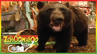 🐵🐻 Zoboomafoo 123 | Bears | Animal shows for kids | Full Episode | HD 🐵🐻
