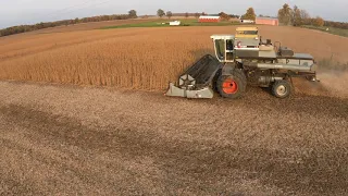 Running Strong - 6 wheel - 1984 Gleaner L3 - Soybeans -Hillsdale County - Michigan - Harvest 2020 5K