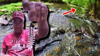 THIS Fishing Lure Is INSANE In Creeks! How To Make It SUPER DEADLY!!!