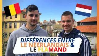 Quelles sont les différences entre le flamand et le néerlandais des Pays-Bas ? Le flamand ? 🇳🇱🇧🇪