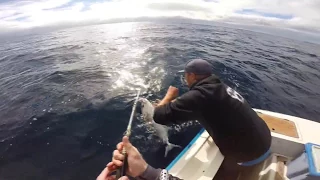 Offshore Jigging For Samson Fish