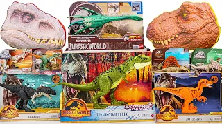 Jurassic World Unboxing Review | Dinosaur Mystery Box , TRex Pack, Elasmosaurus, Velociraptor | ASMR