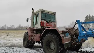 Предпосевная обработка земли, для посадки медоносных растений. 🐝🍯🌞🚜