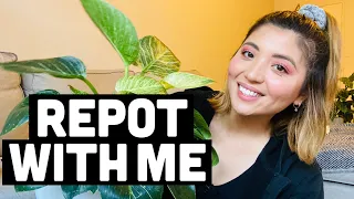 REPOT WITH ME Q&A | ANSWERING YOUR QUESTIONS