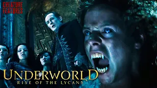Victor Creates And Enslaves The Lycans | Underworld: Rise Of The Lycans | Creature Features
