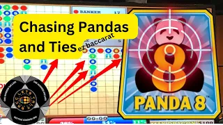 Ez Baccarat Tie Line and Panda Chase - 2 Strategies in 1 Shoe