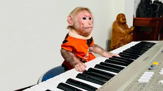 Super Monkey! Bibi play the organ makes dad surprised!